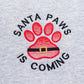 PREORDER: Santa Paws Embroidered Sweatshirt