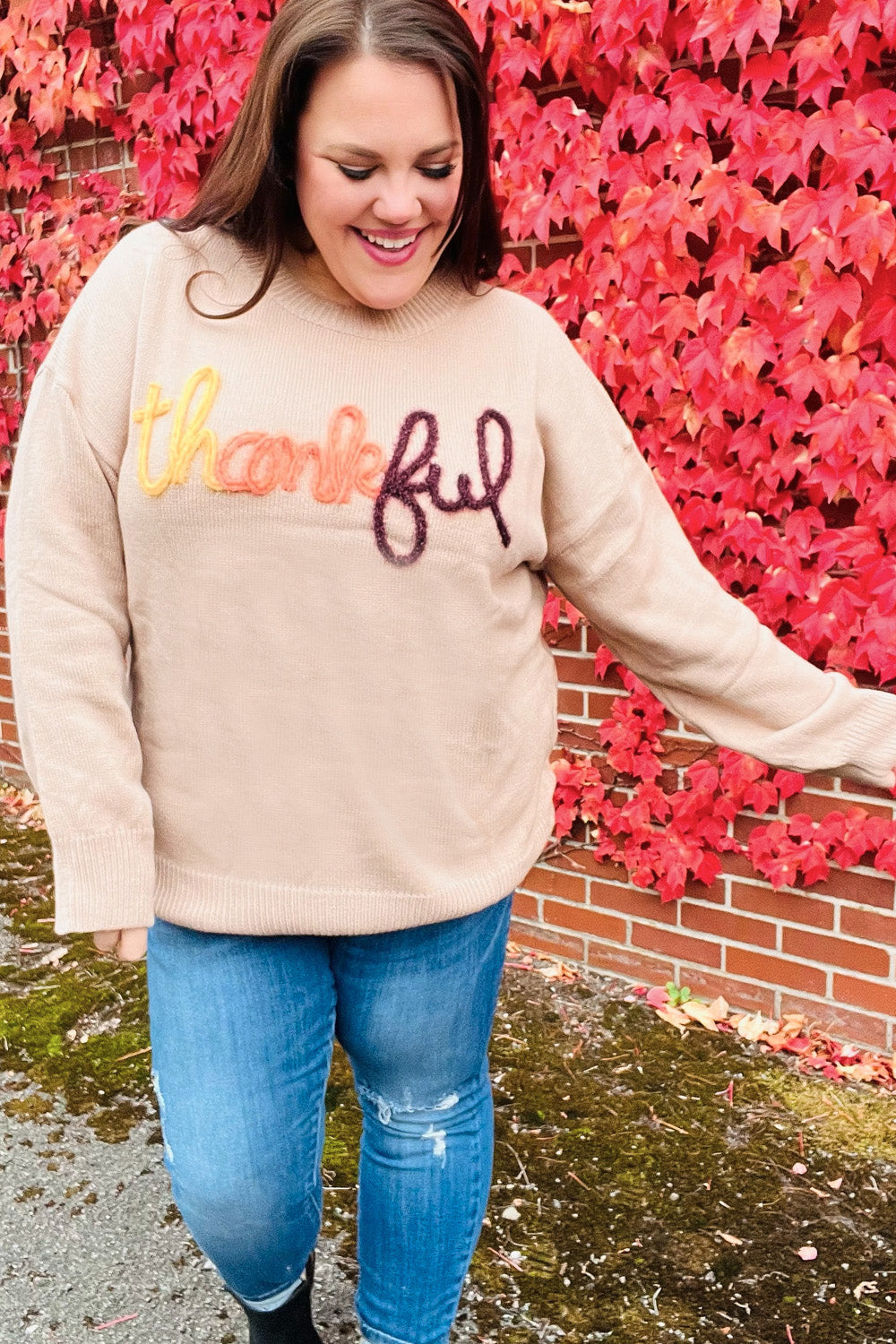 Feeling Thankful Taupe Pop Up Glittery Embroidery Sweater