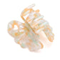 Large Jelly Claw Clip Set of 4